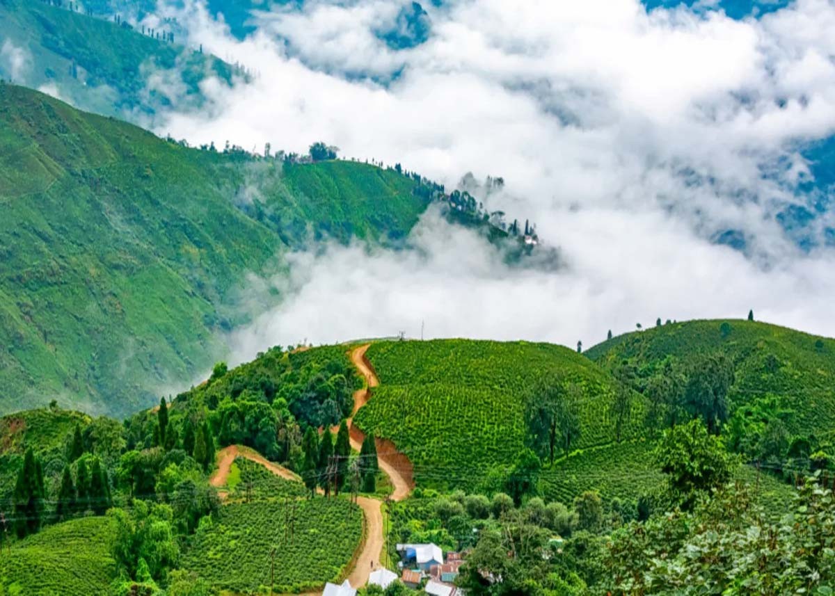 If you want to enjoy the natural views then definitely visit Darjeeling once.