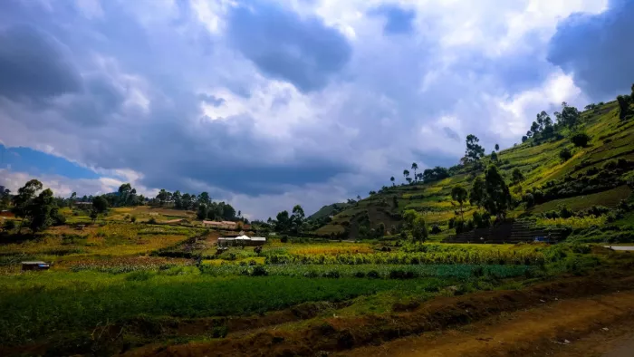 Weekend Destination: Make your weekend wonderful by coming to this beautiful hill station of Uttarakhand - Uttrakhand beautiful hill station Chaukori is best for weekend