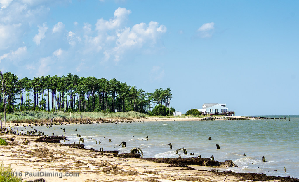 Bethel Beach Natural Area Preserve Looking North - Matthew… | Flickr