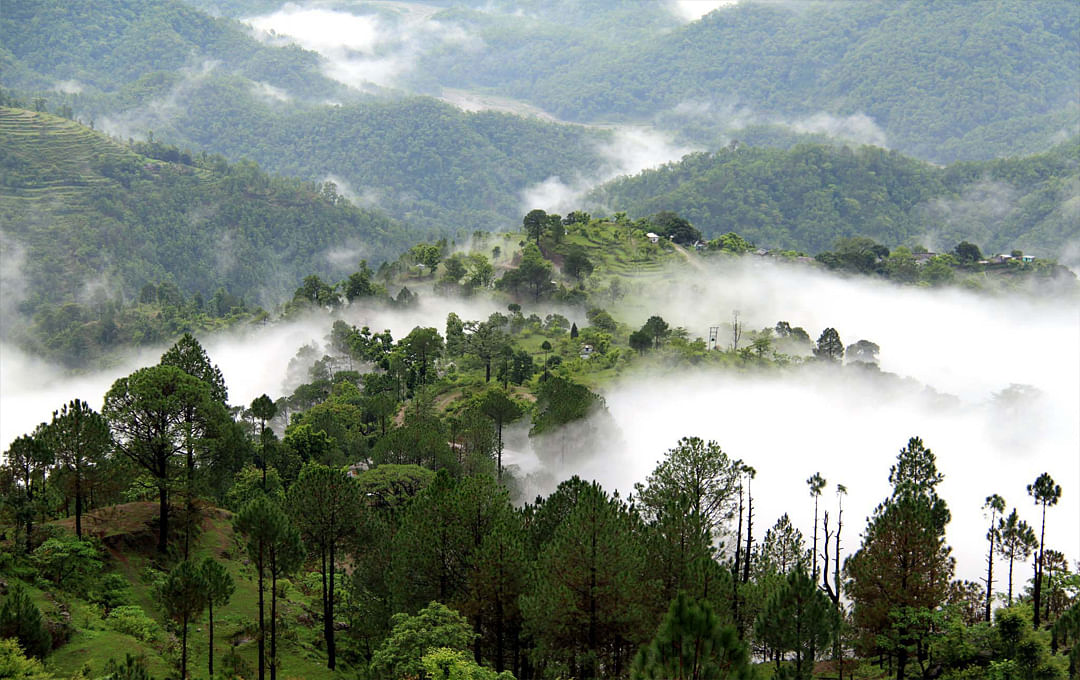 Uttarakhand Hill Station Lansdowne On Cloud - Amar Ujala Hindi News Live - See in pictures, this hill station situated amidst clouds in Uttarakhand