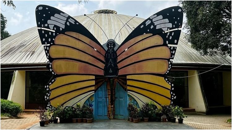 Beautiful Butterfly Parks In India Must Visit To Watch Colorful Butterflies And Natural Beauty - Amar Ujala Hindi News Live - Butterfly Parks: Beautiful Butterfly Parks of India, where colorful butterflies can be seen...