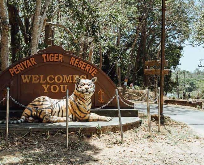 These are the 10 best tiger reserves of India, you also know