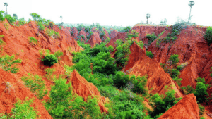 Erra Matti Dibbalu (Red Sand Hills), Andhra Pradesh