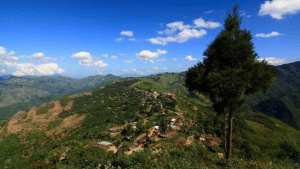 Naga Hill Ophiolite, Nagaland