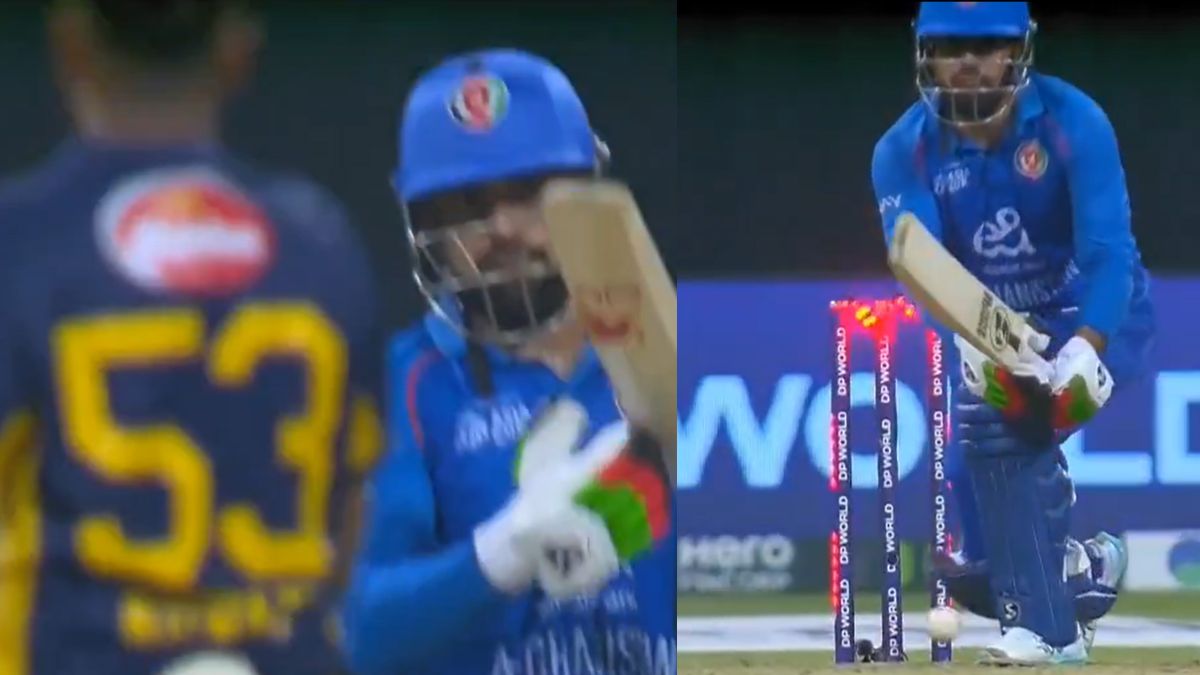 "Hey, look behind me" Rashid Khan asked for DRS after being clean bowled, and the umpire reacted like this.