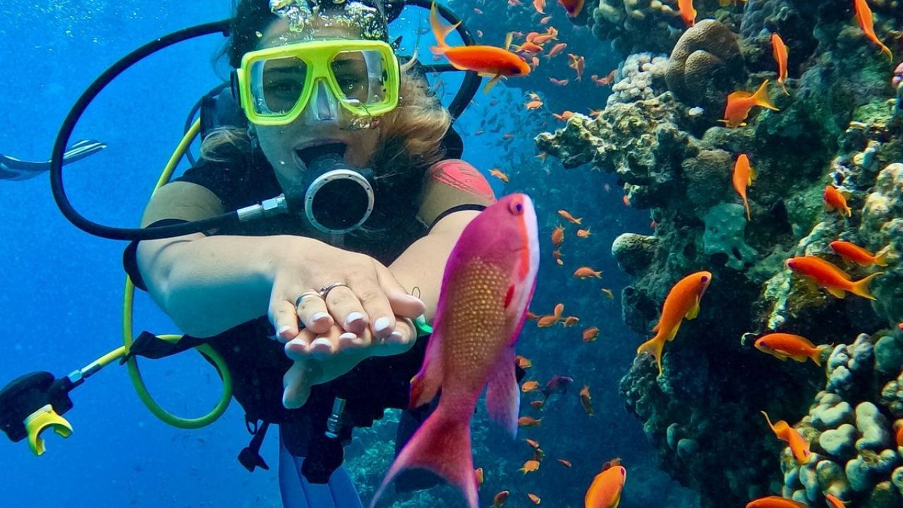 Jolanda and Shark Reef are considered one of the top ten dives in the world.