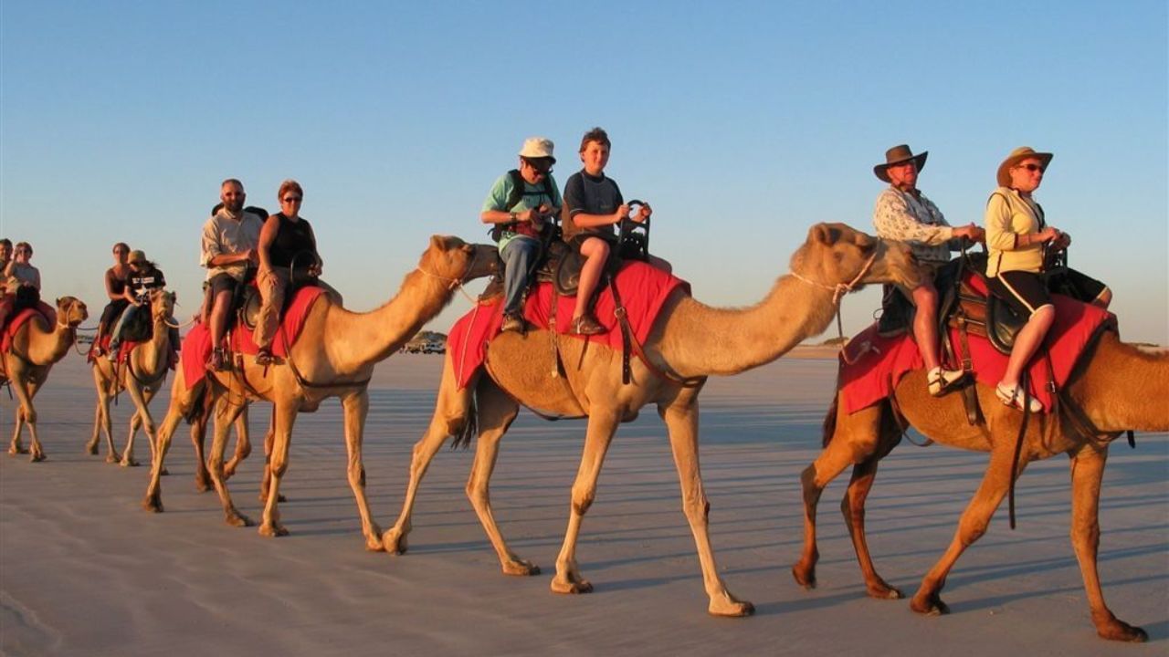 Explore Sinai Desert for quad biking, and camel riding across dunes and through canyons.