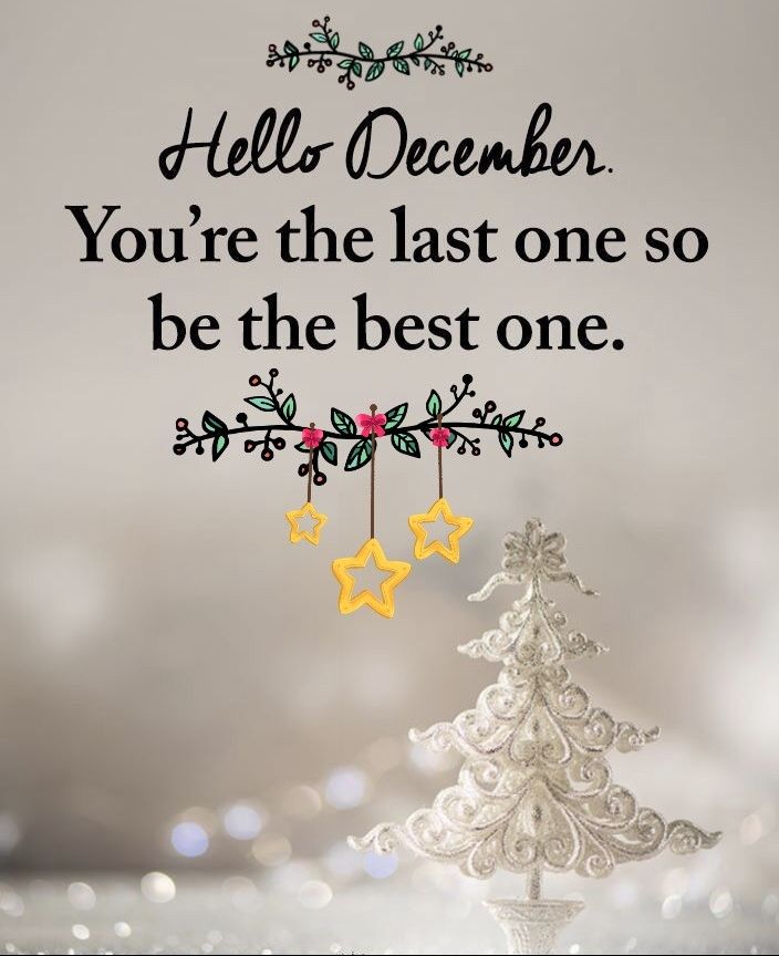 This may contain: a white christmas tree with yellow stars on it and the words hello december you're the last one so be the best one