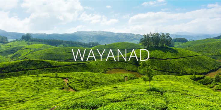 This may contain: the words wayanad are placed on top of green hills