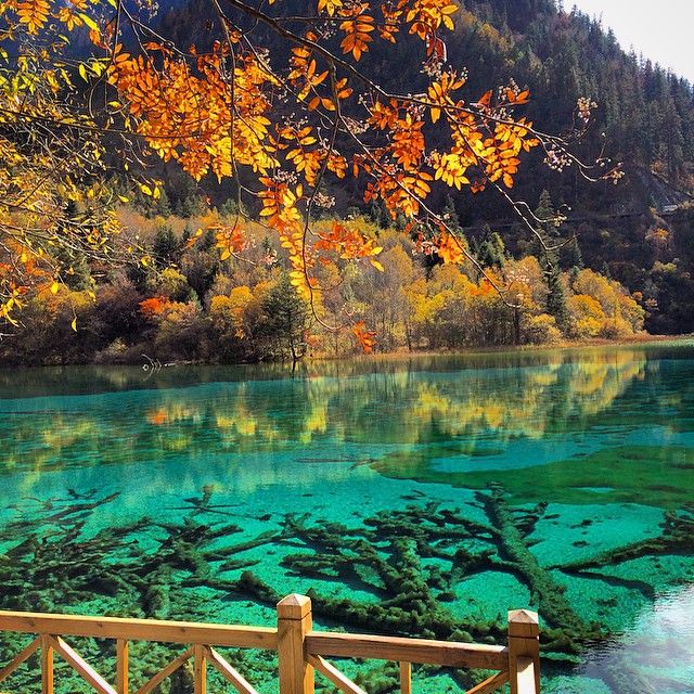 This may contain: the water is crystal blue and green in this beautiful scene, with trees lining the shore