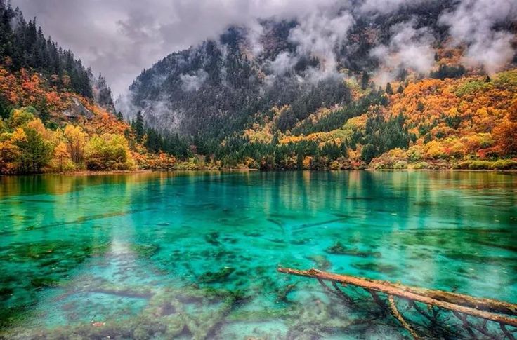 This may contain: the water is crystal blue and green in this photo, with trees on both sides