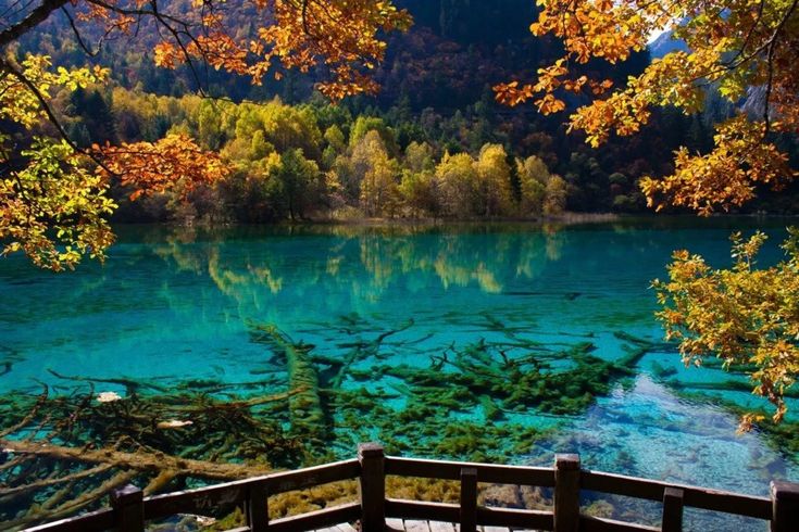 This may contain: the water is crystal blue and clear with trees in the foreground on either side