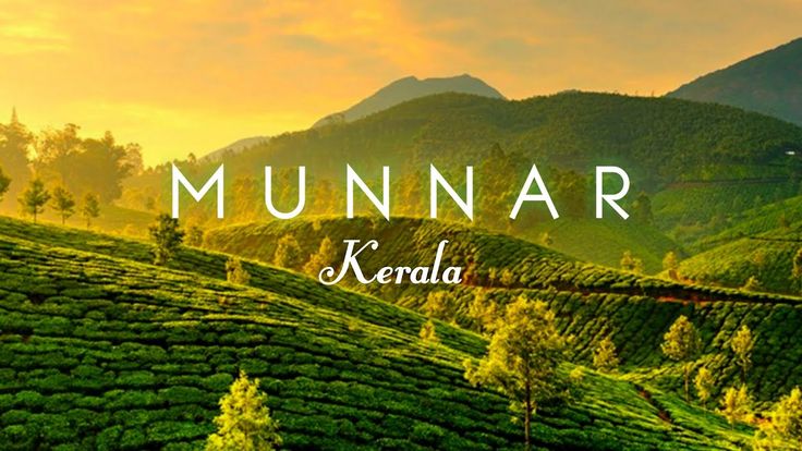 This may contain: the words, munnar kerala are in front of a tea plantation