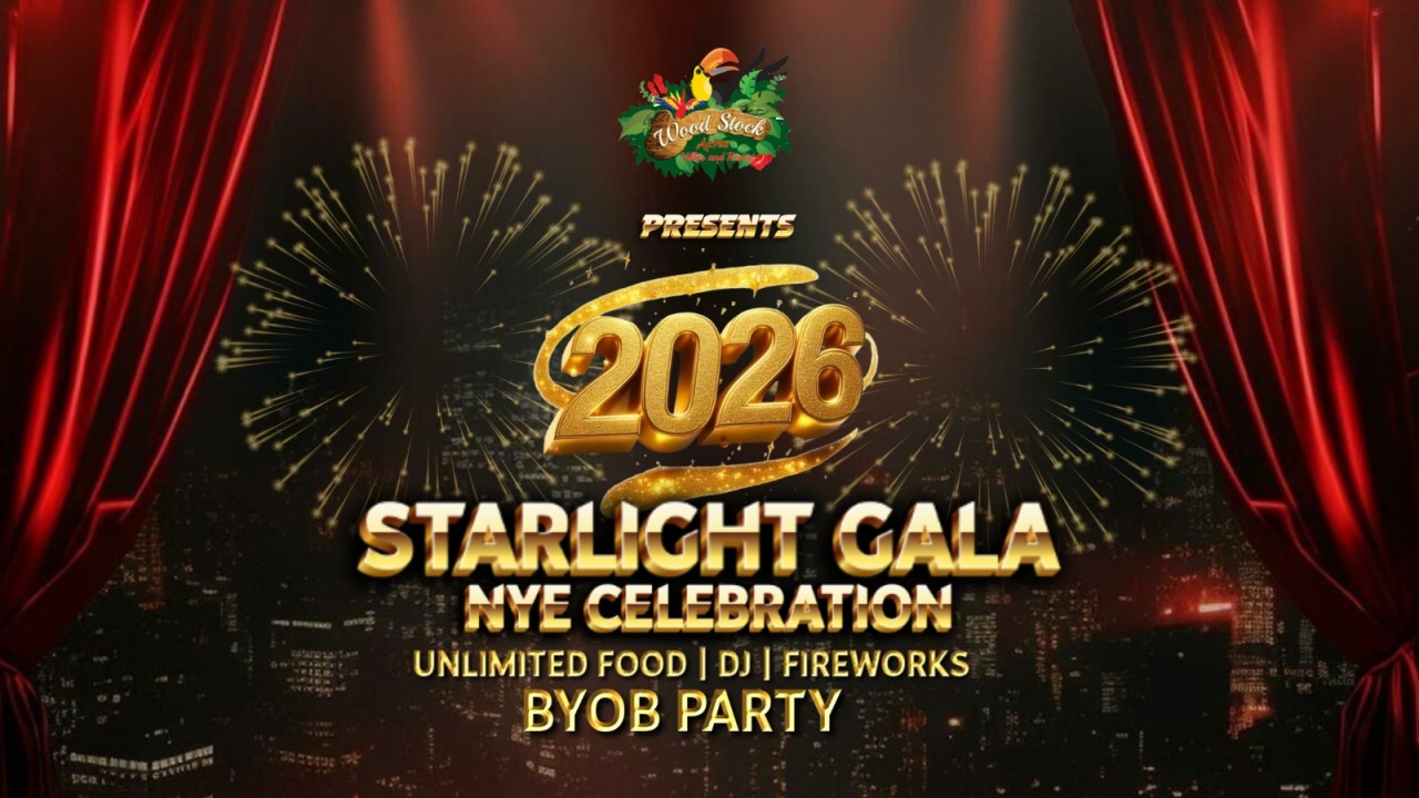 New Year Party in Mumbai 2026 - Starlight Gala
