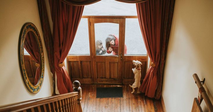 This may contain: two dogs are looking out the window at another dog in the room with red curtains