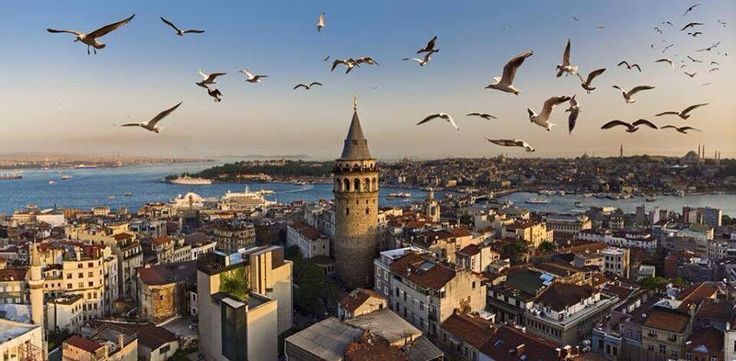 This may contain: seagulls are flying over the city skyline and harbor in this aerial photo taken from above