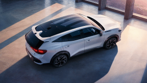 Renault Filante roof