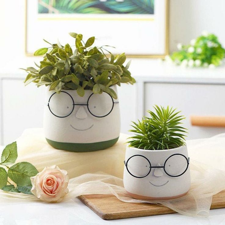 This may contain: two potted plants with glasses painted on them