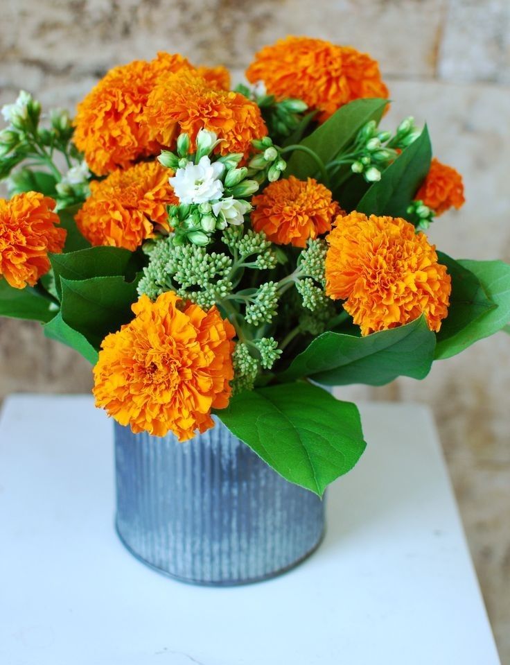 This may contain: an orange and white flower arrangement in a blue tin vase on a table with green leaves