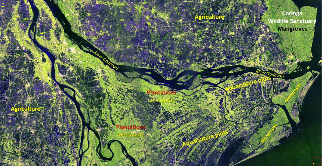 S-Sar hybrid polarimetric image showing mangroves in the Godavari Delta. (Image Credit: ISRO).