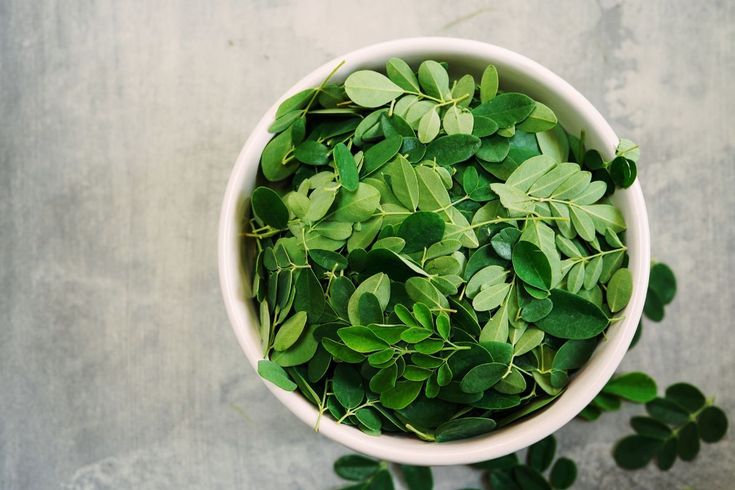 This may contain: a white bowl filled with green leaves on top of a gray table next to plants