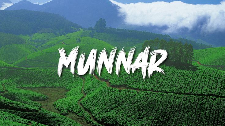 This may contain: the word'munnar'is written in white on top of a green tea field