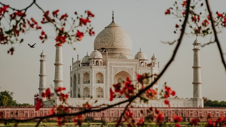This may contain: an ornate white building with red flowers in the foreground
