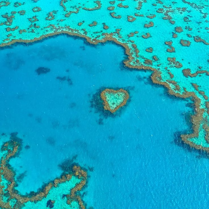 This may contain: an aerial view of the great barrier reef and heart - shaped corals in australia