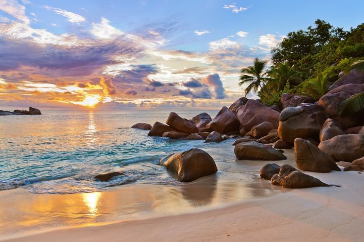 This contains: Car Rental Praslin Seychelles – Hire your car for Praslin Island in Seychelles with Elite Car Hire. We ensure you have your ELITE HOLIDAY IN PARADISE.