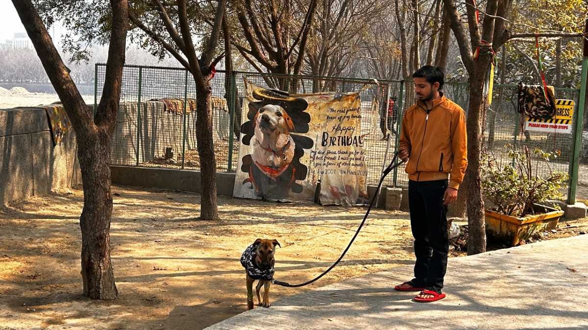Bhairav, the 'divine' dog of Bijnor, was rescued just in time. Not holy,  was battling infection, says vet – ThePrint – Select