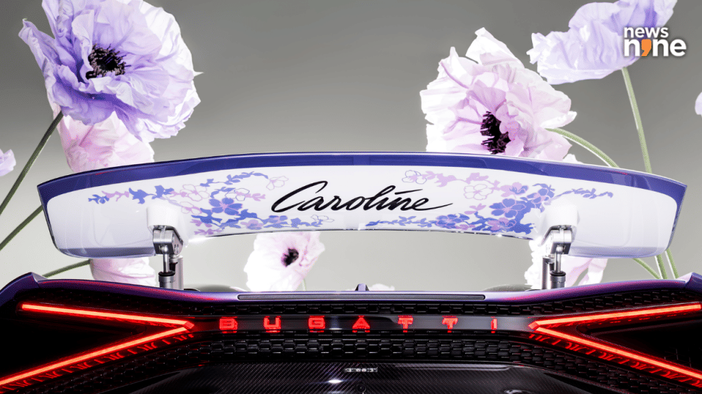 Bugatti W16 Mistral rear wing