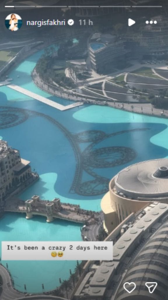 Nargis Fakhri's Instagram Story