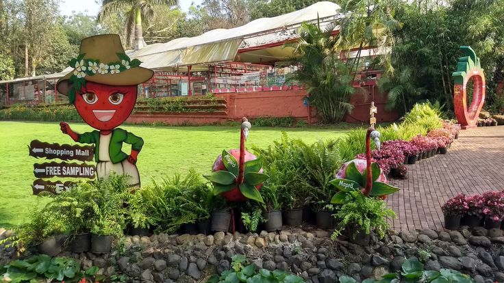 This may contain: there is a garden with plants and signs in the grass, along with a building