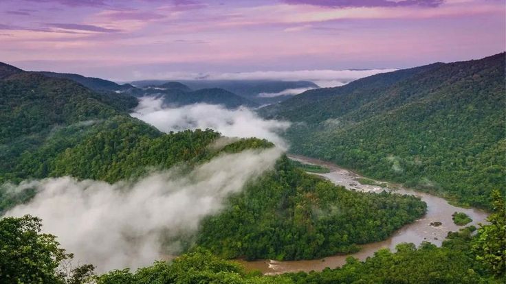 This may contain: the valley is surrounded by trees and fog in the air, with mountains on either side
