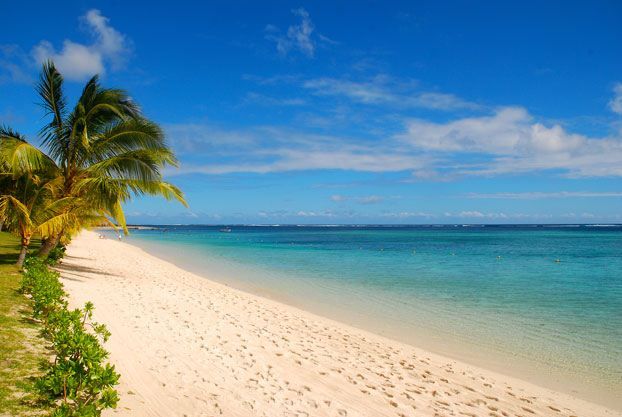 This may contain: a beach with palm trees and clear blue water