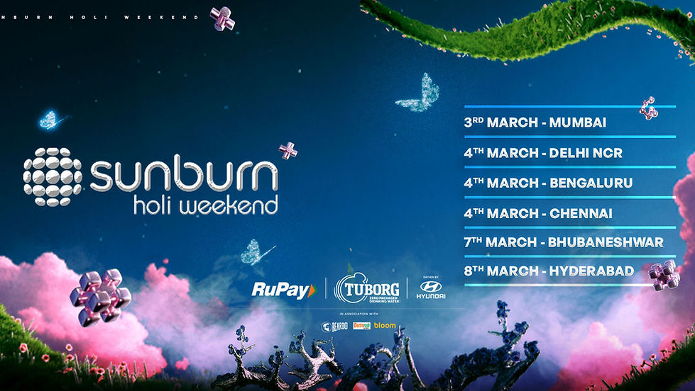 Sunburn Holi - Chennai