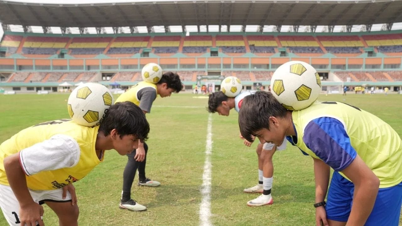 News9 Indian Tigers And Tigresses (2)