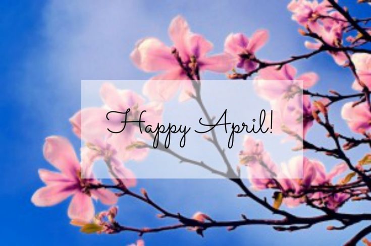 This may contain: pink flowers with the words happy april written in black ink on it, against a blue sky background
