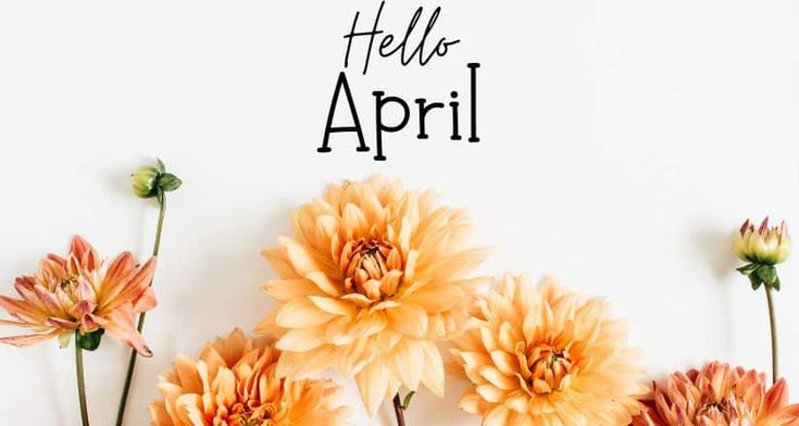 This may contain: flowers are arranged in front of a white wall with the words hello april written on it
