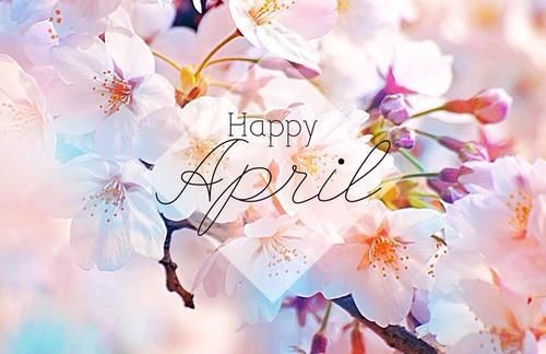 This may contain: the words happy spring are written in black on a colorful background with white and pink flowers