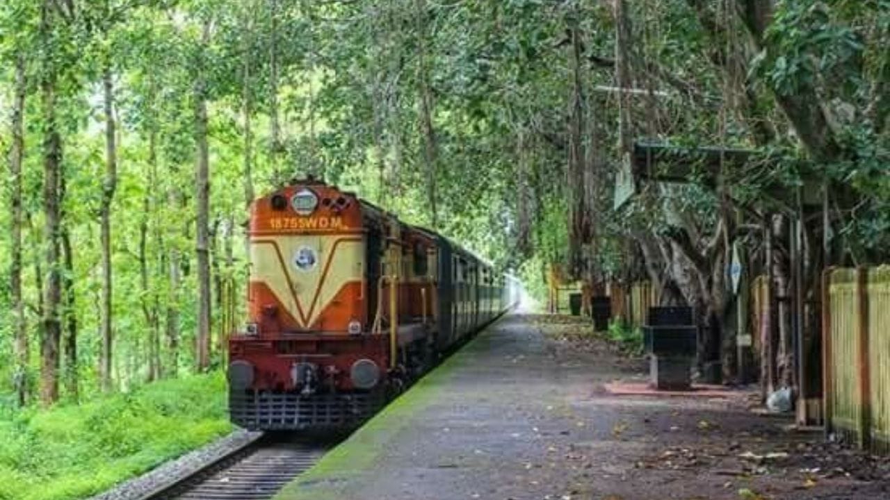 Kerala villages, offbeat Kerala destinations, Kerala travel guide, villages beyond Kerala backwaters, Wayanad travel, slow travel Kerala